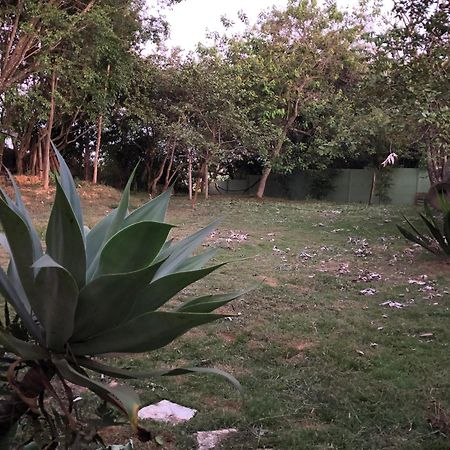 דירות São Roque de Minas Gerais Loft מראה חיצוני תמונה